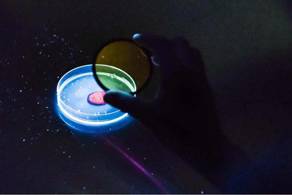 Veolia testet neue Technologie zur Mikroplastik-Detektion im PET-Recycling